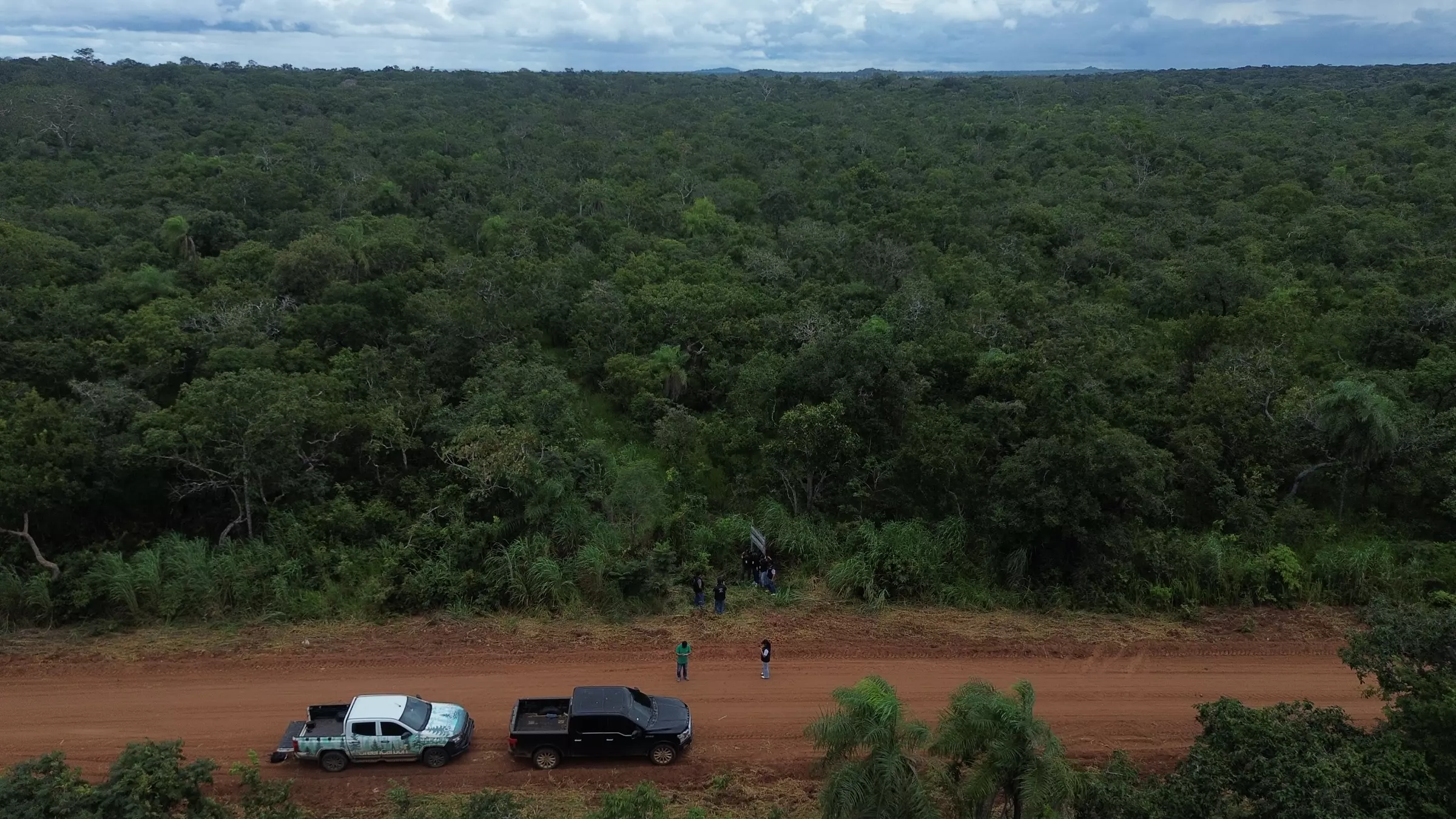 Vista aérea del bosque en el territorio, con un camino de tierra y vehículos del equipo